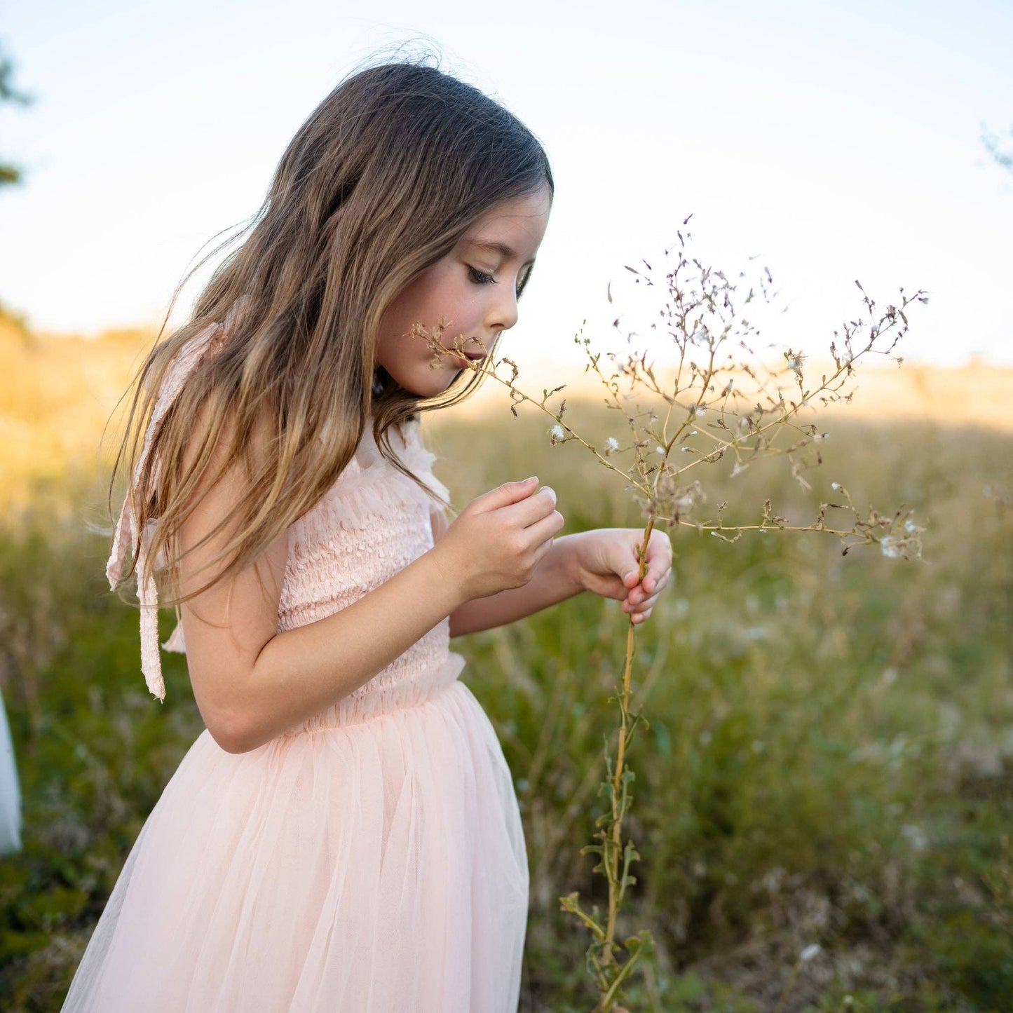Hanna Tutu Dress