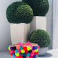 PomPom Straw Beach Bag, French Basket