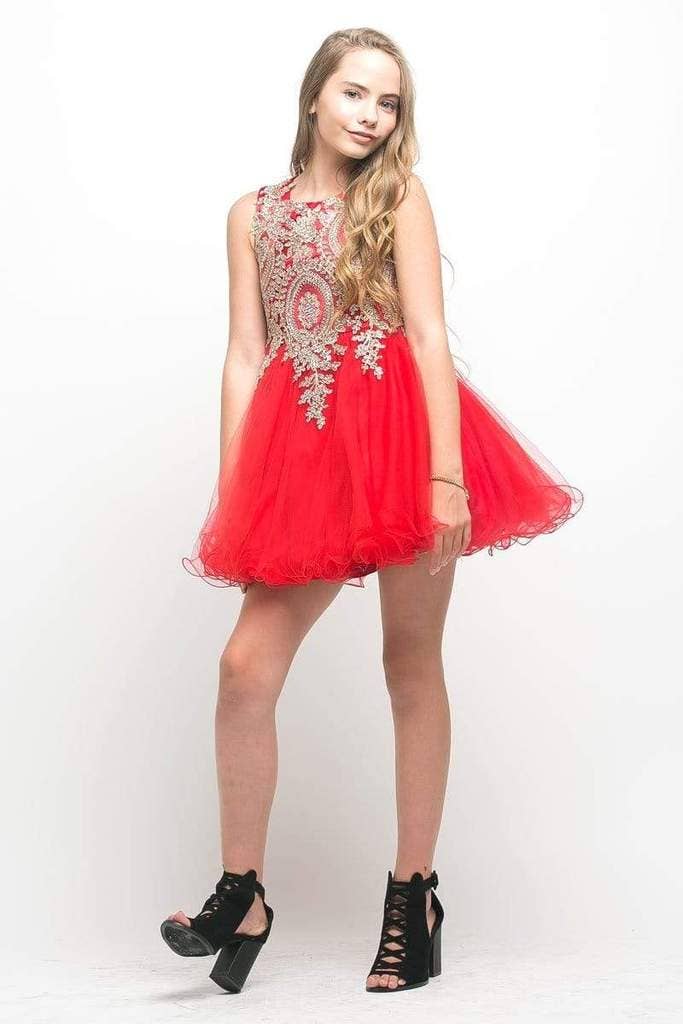 Chandra Dress