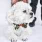 Christmas Bow Tie for Boys, Adjustable, Holiday Accessories
