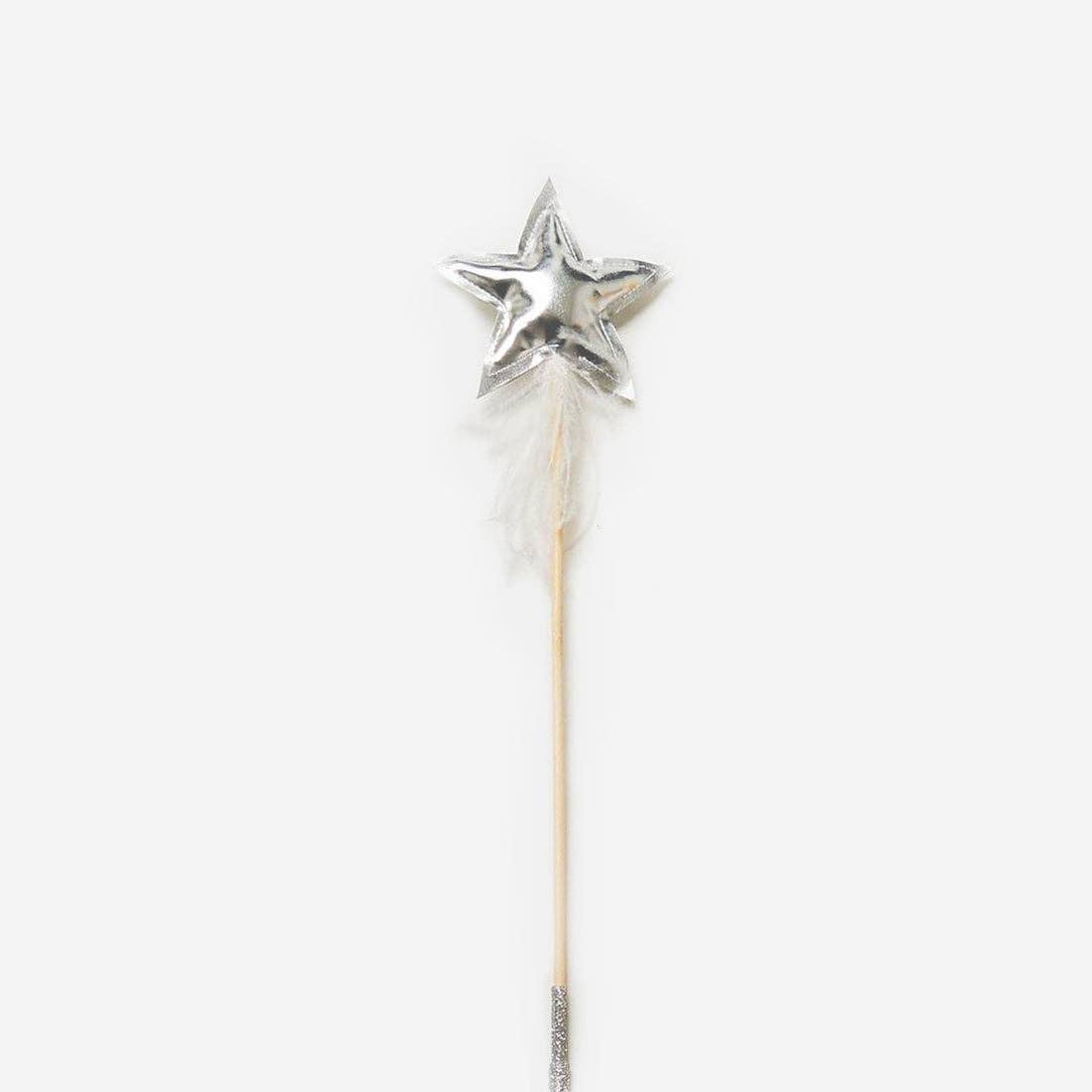 Star /Pompom Stick