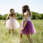 Vintage 4 Tutu Dress