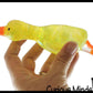 1 Large Duck Sugar Ball - Thick Glue/Gel Syrup Molasses Bag