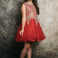 Chandra Dress